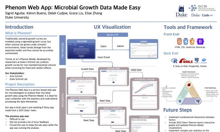 Poster for the Phenom Web App project, including basic background information, a large diagram of the user experience workflow, and a summary of the tools and framework used.