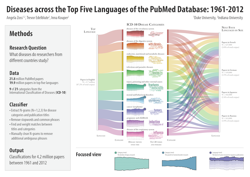A poster showing both a complex infographic related to languages and diseases in the PubMed database and additional information about how the graphic was created.